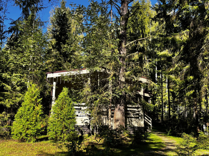 Лесной домик на берегу Озера Волго на Селигере - коттеджи Сосновый бор