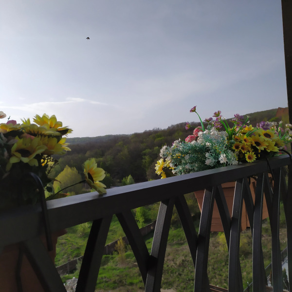 Апартаменты 1BR Apt with pool &spa Alvina by Jazzy