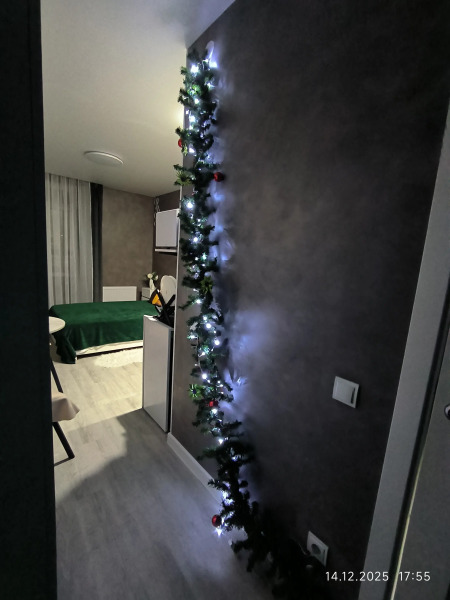 Квартира Атмосферная студия