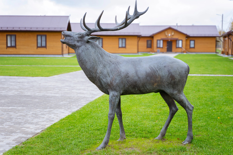 Отель Комплекc Загородного отдыха  Место 7