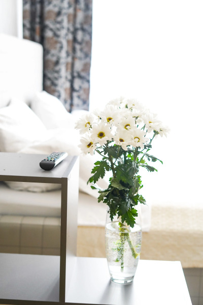 Апартаменты Diaday Irk 5