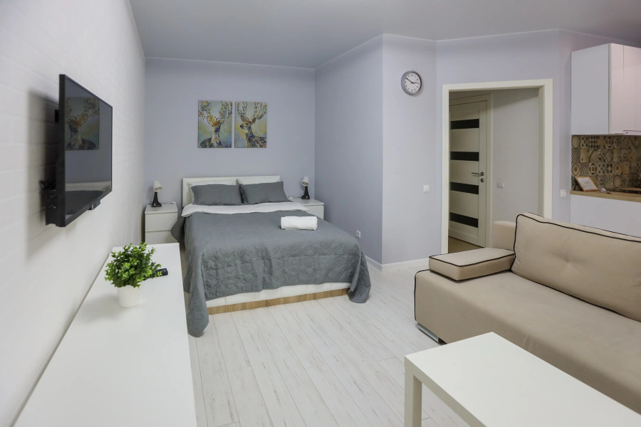 Апартаменты на Северной 55