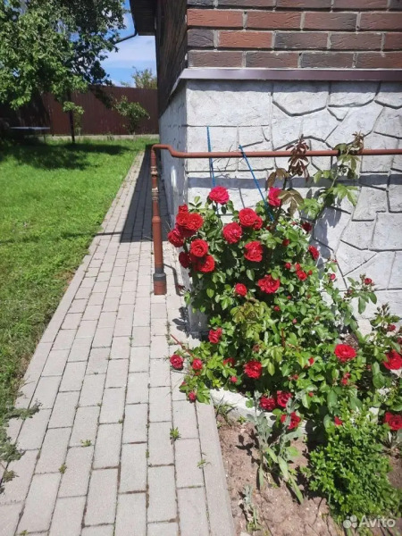 Частный дом Отдых в пригороде Калининграда