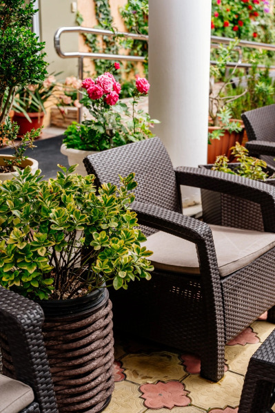 Отель Мандарин