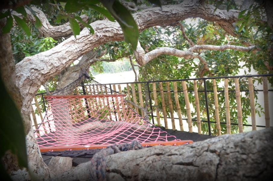 Отель Leopard Lakes Wilpattu