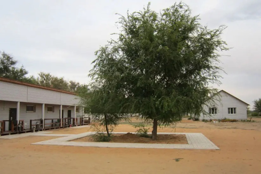 База отдыха Рыбалка-Лайф