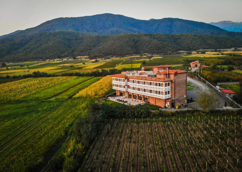 Отель Chateau Artwine