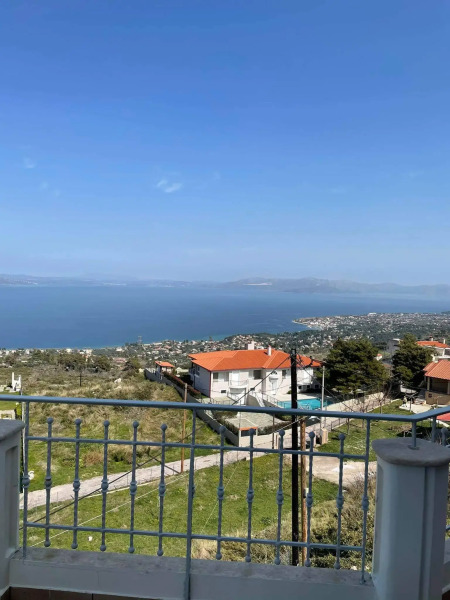 Апартаменты Kalamos Studio