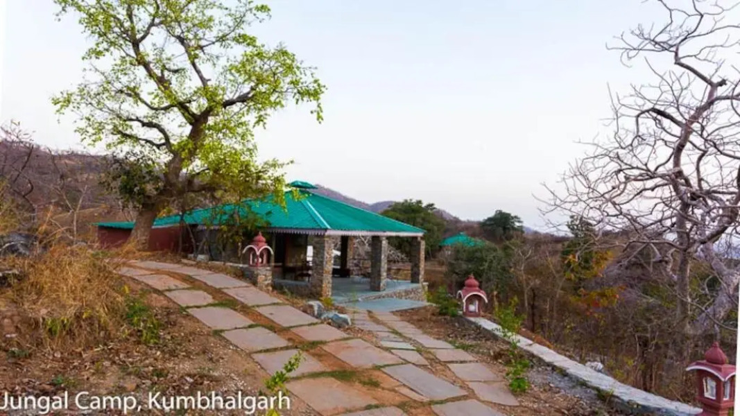 Отель Jungle Camp Resort