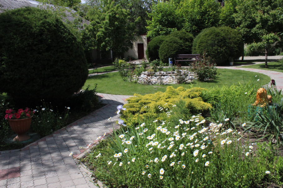 Отель Золотой Лев