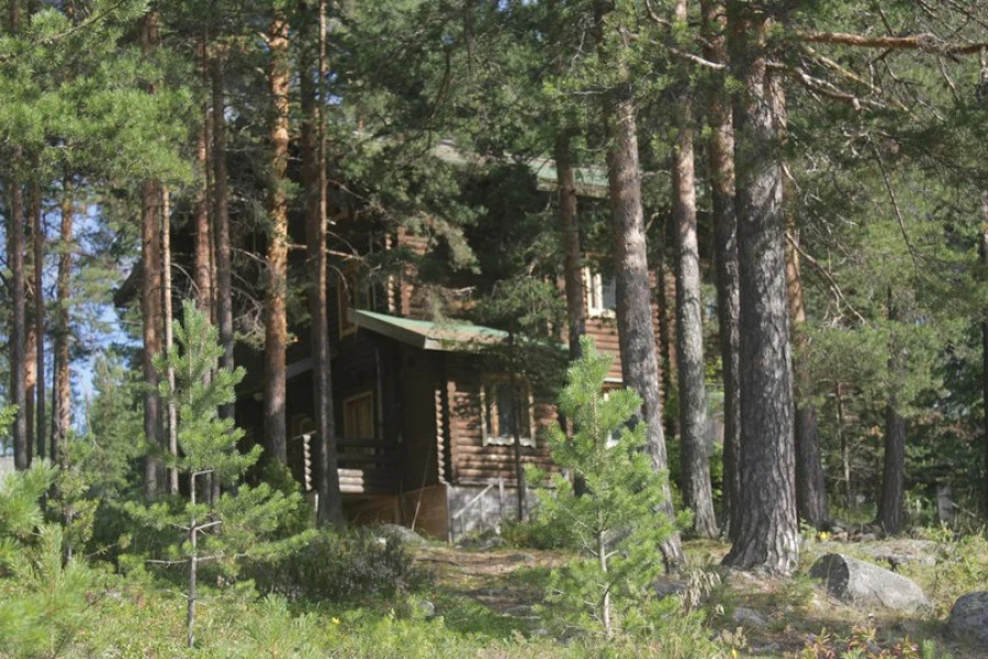 Коттедж Косалма