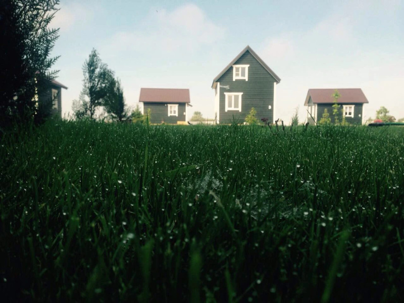 База Отдыха Икра