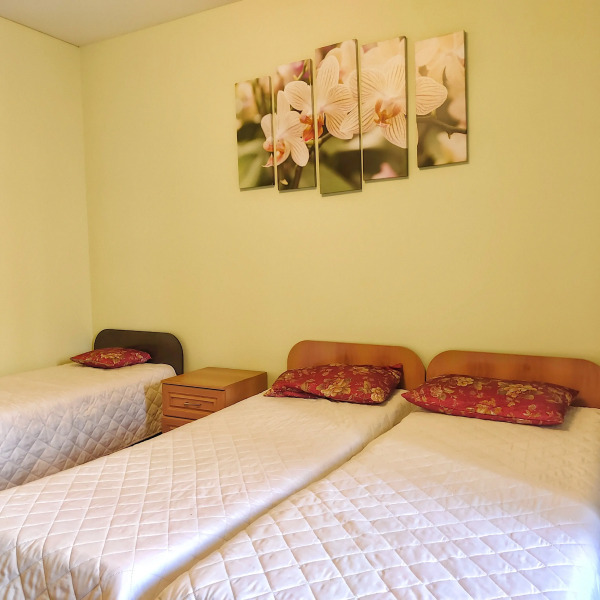 Апартаменты от Людмилы (Революции 1905 года)