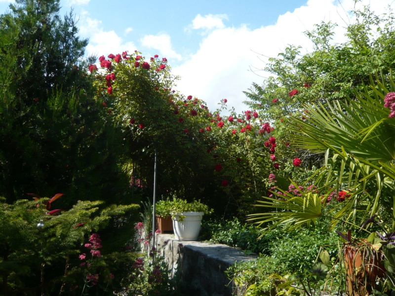 Мини-отель Август