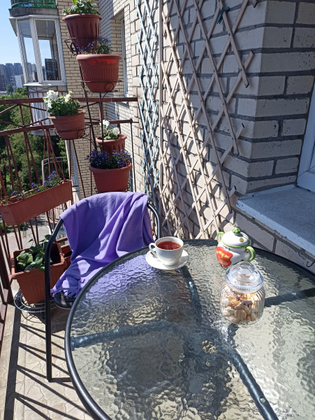 Апартаменты Zvezdnaya