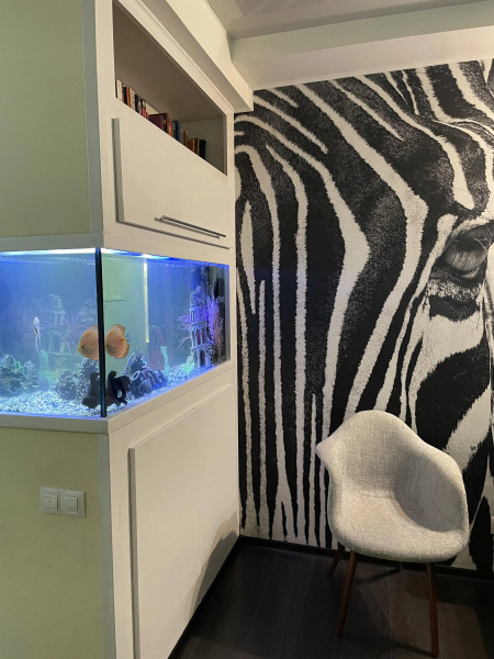 Апартаменты Константина Заслонова 17