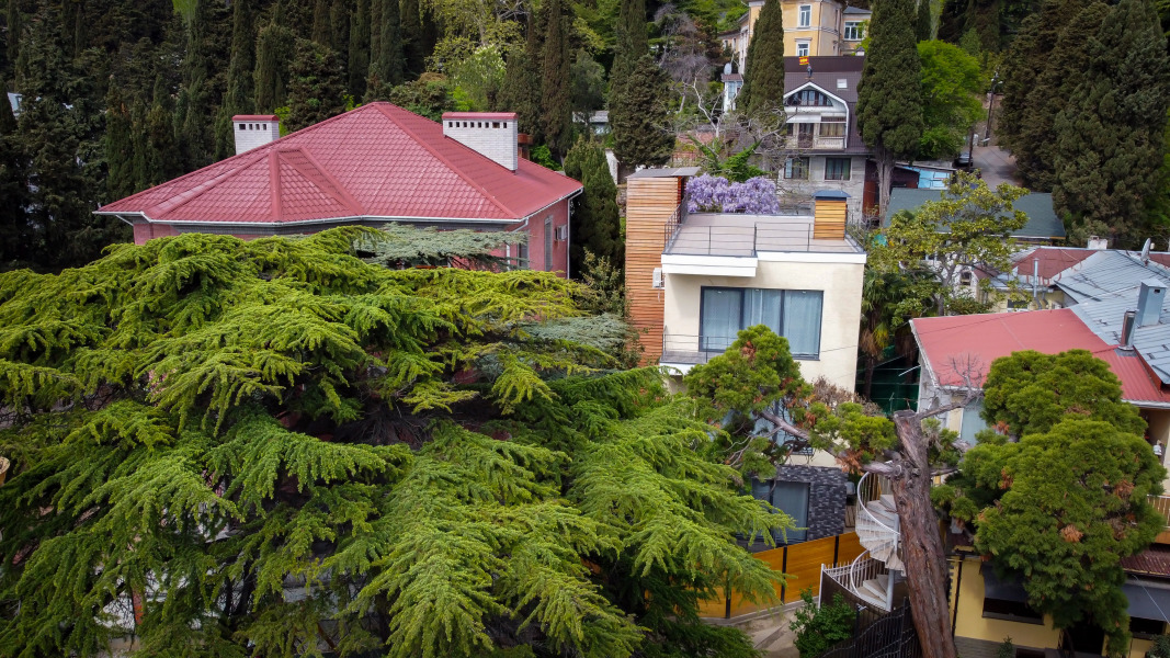 Апартаменты Журавли