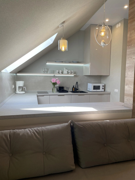 Апартаменты Студия Мельничный пруд