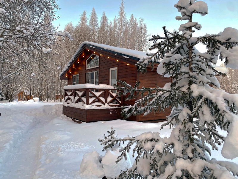 Гостевой дом Ладога Хоум - Лес