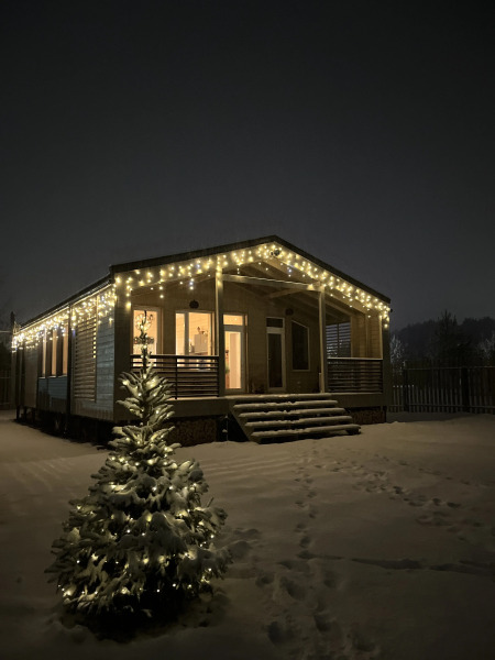 Частный дом в соснах