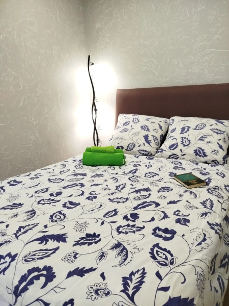 Квартира Двухкомнатная в Центре города Пскова