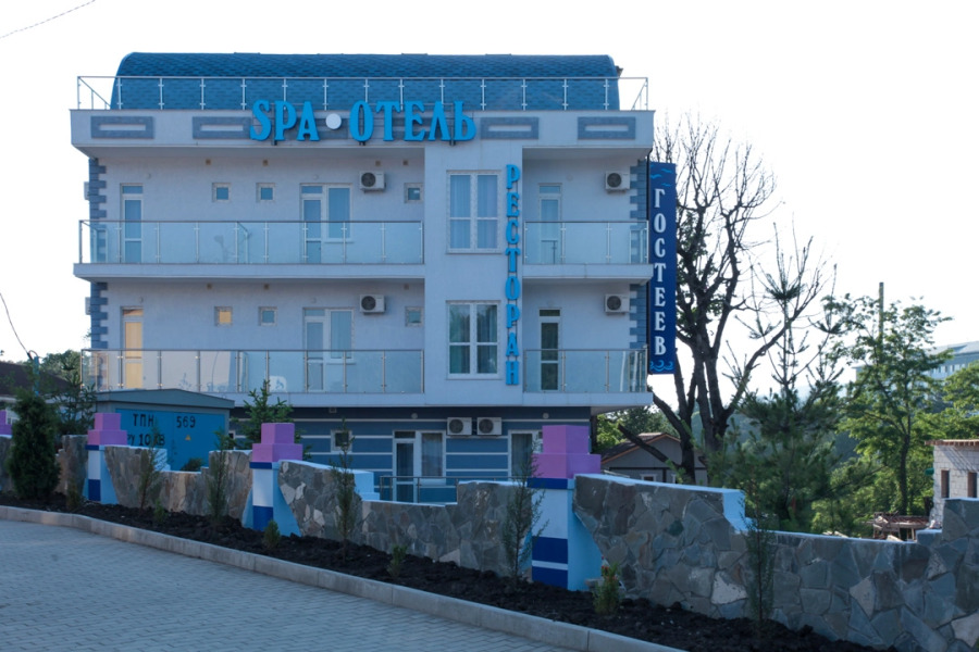 Отель Гостеев