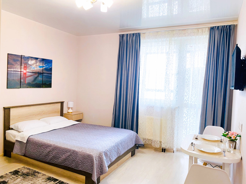 Квартира на Московском шоссе 33 к4