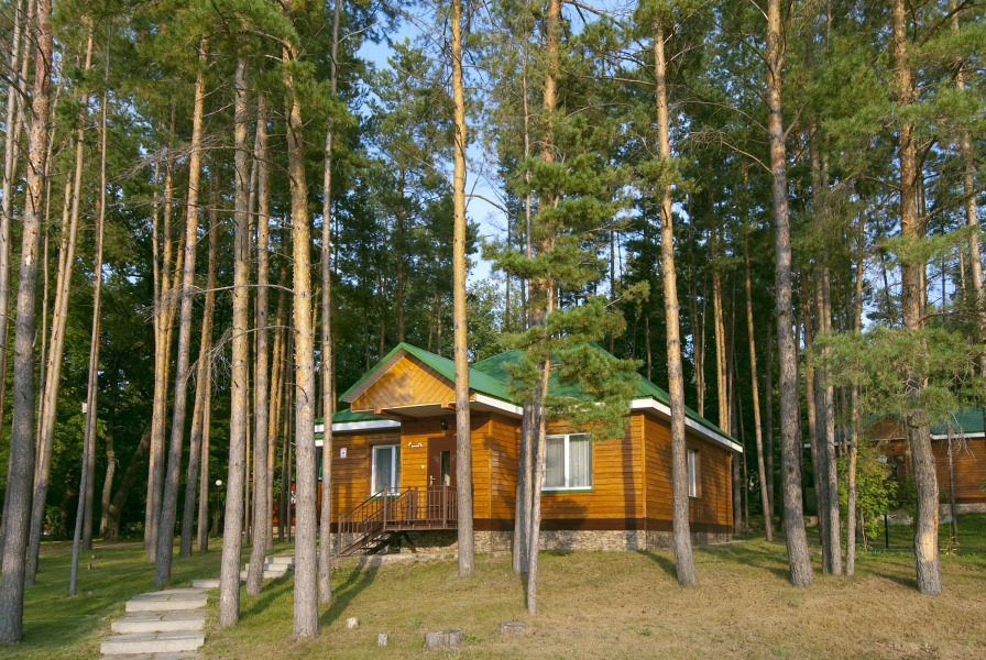 Отель Лесной