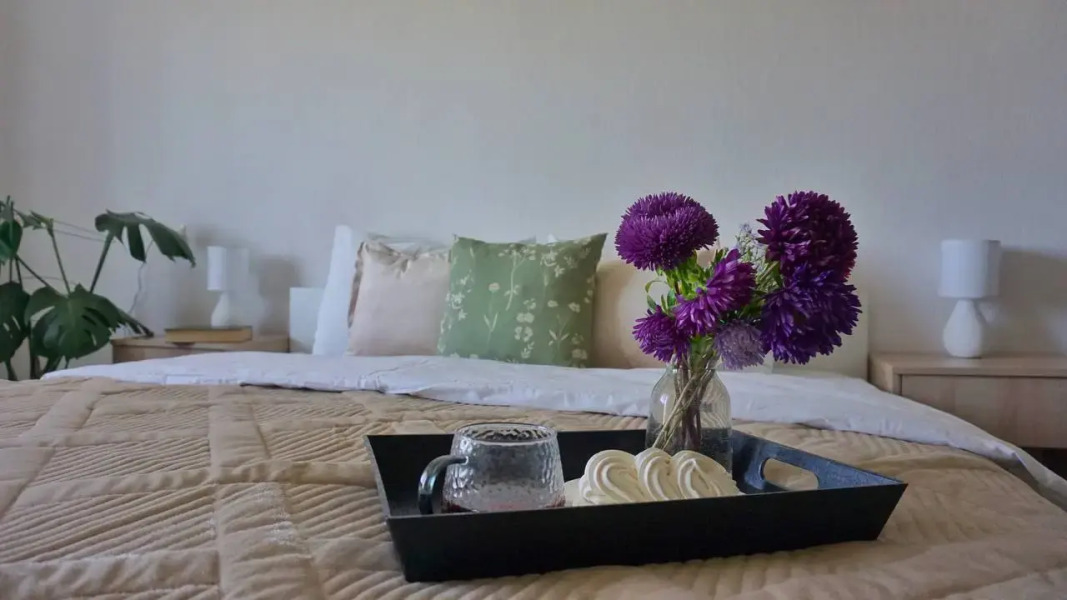 Квартира Однушка в историческом центре