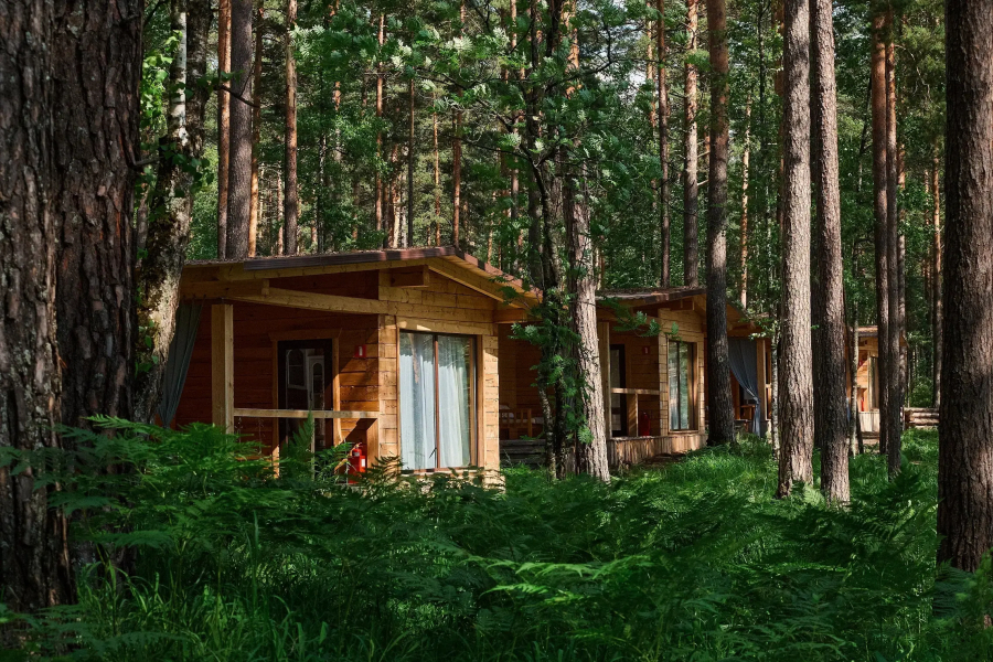 База отдыха Эко-отель Altay Sense