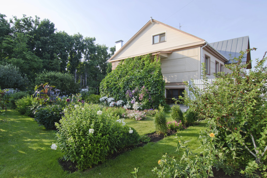 Гостевой дом Любимцевой