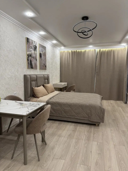 Квартира Уютная Студия Попугаи