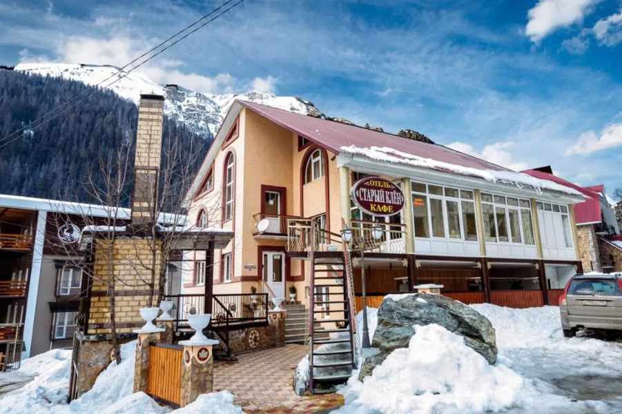 Отель Старый клён