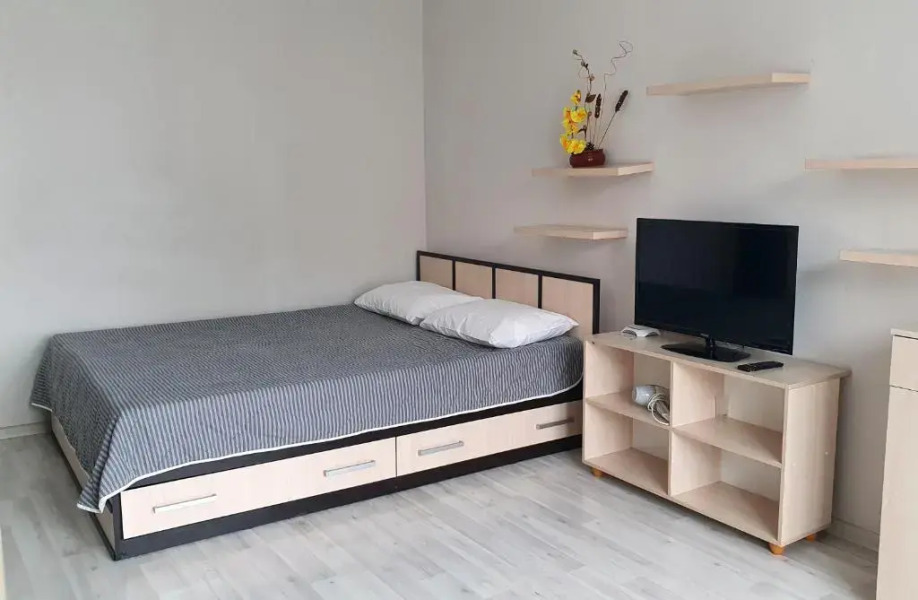 Апартаменты Comfort Russia Партизанская 55