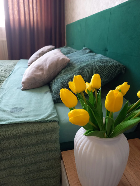 Апартаменты около Ледового дворца