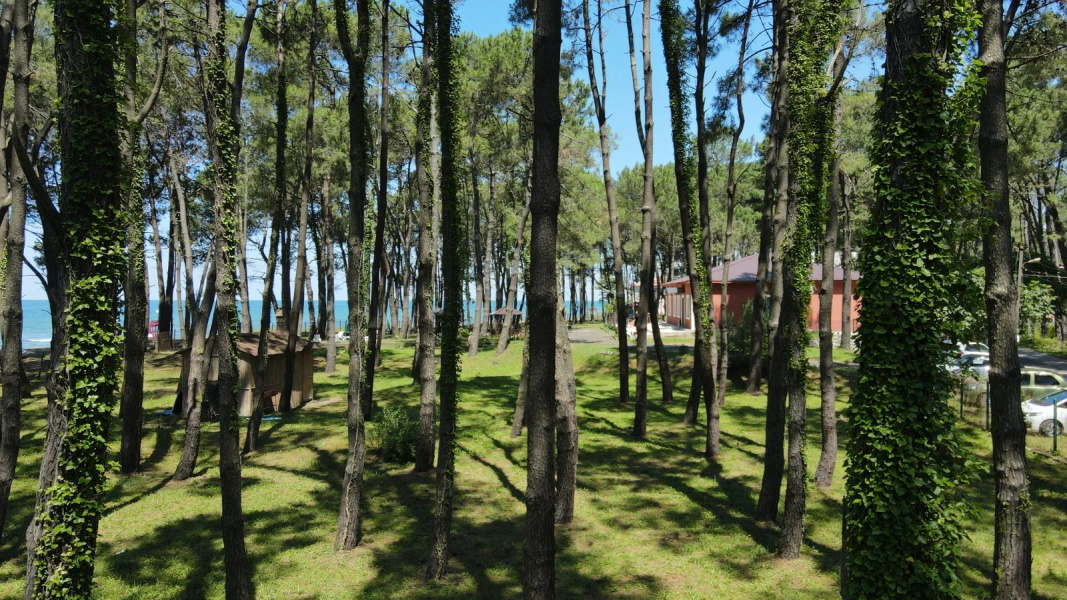 Hotel Oxygen Shekvetili