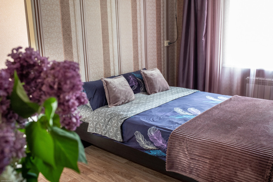 Апартаменты Mini-Dvushka V Tsentre Goroda