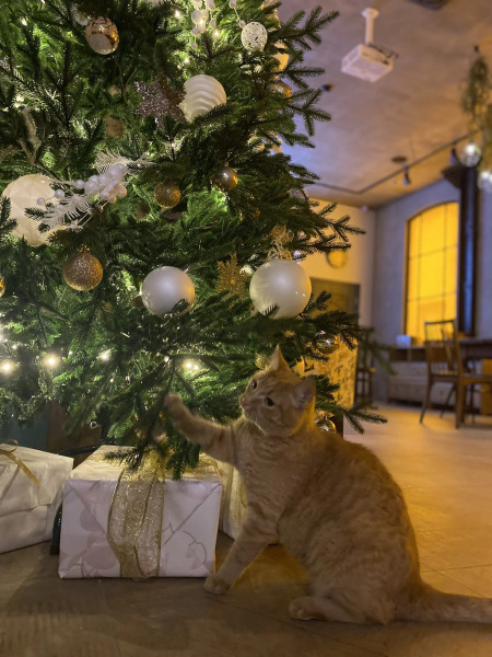 Отель Адрес