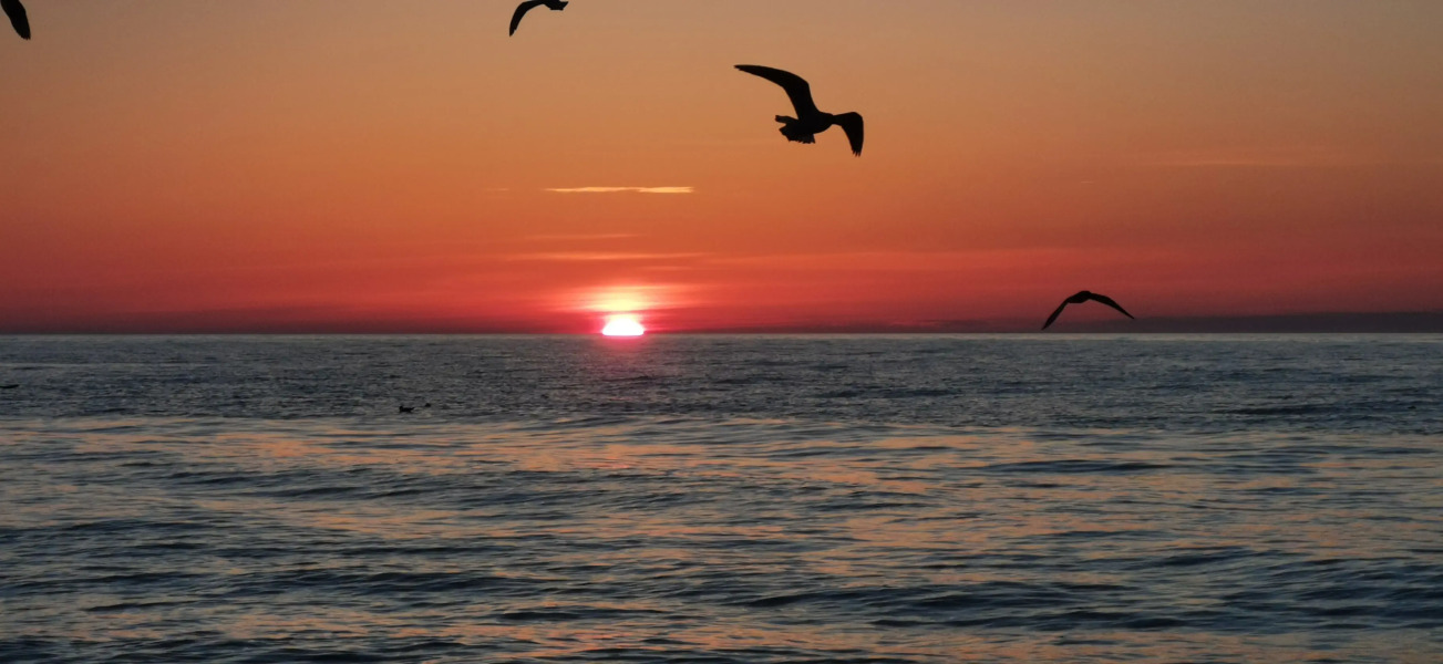 Квартира в Зеленоградске