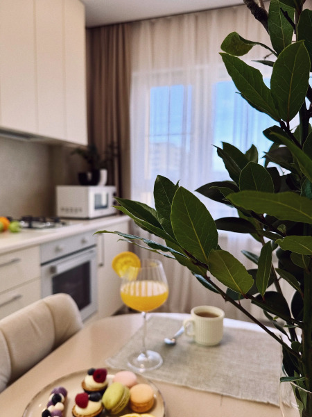 Квартира Сочинский Арбат Навагинская 14