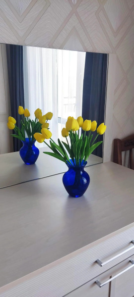 Квартира Шикарная квартира на Коллективной