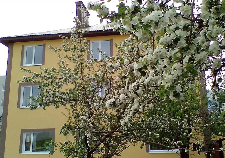 Гостевой дом Яблонька