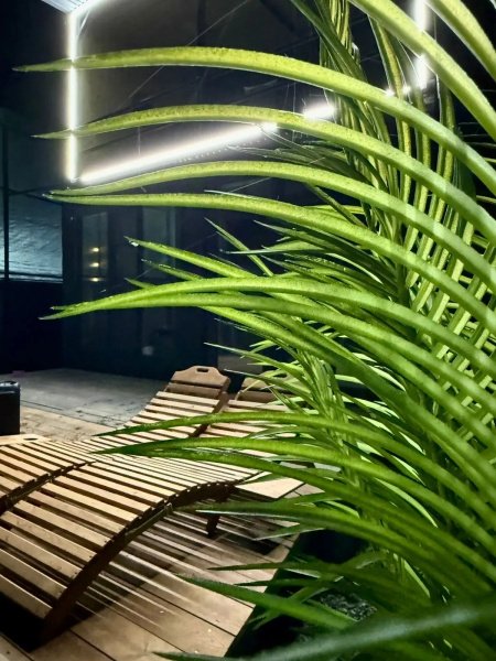 Частный дом Saniba_house