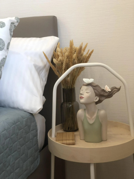 Квартира Студия У НИИ Петрова 2