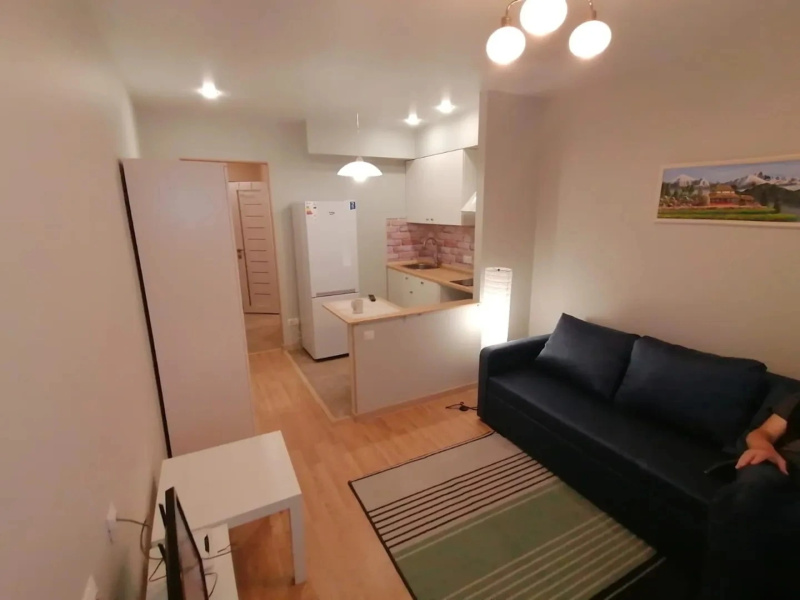 Апартаменты Comfortable Studio Vladimir