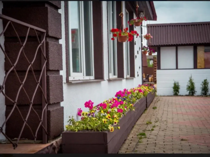 Меблированные комнаты Сойкино