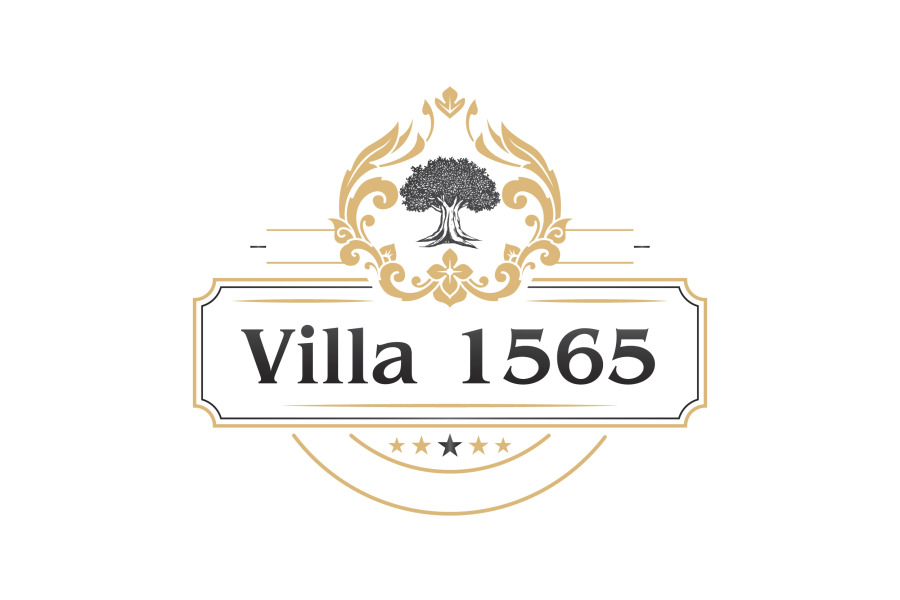 Отель Villa1565