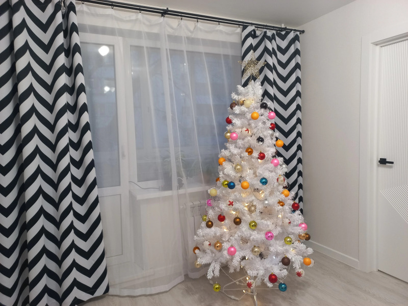 Квартира с замиакулькасами