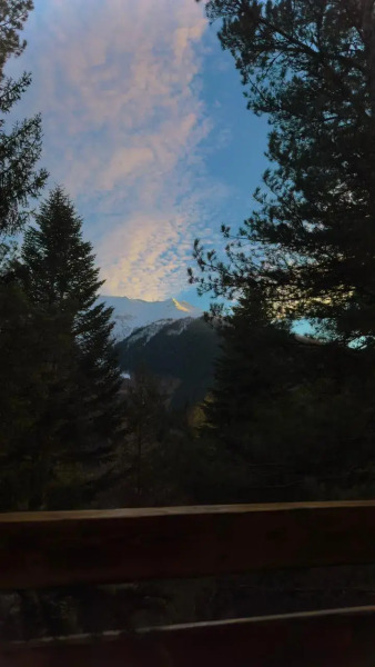 База отдыха Гринвальд 1474