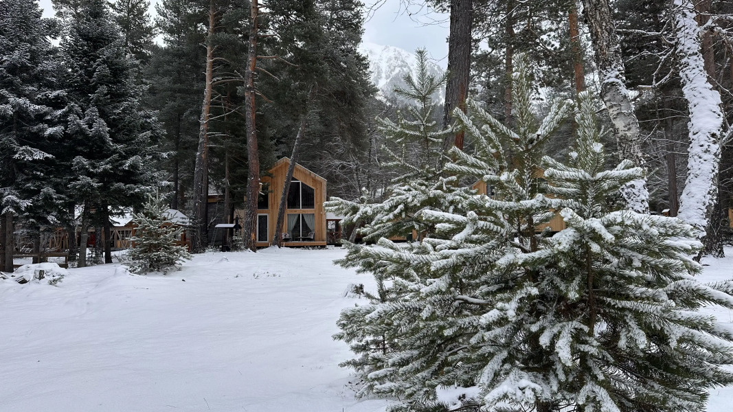 Гостевые дома Шишка